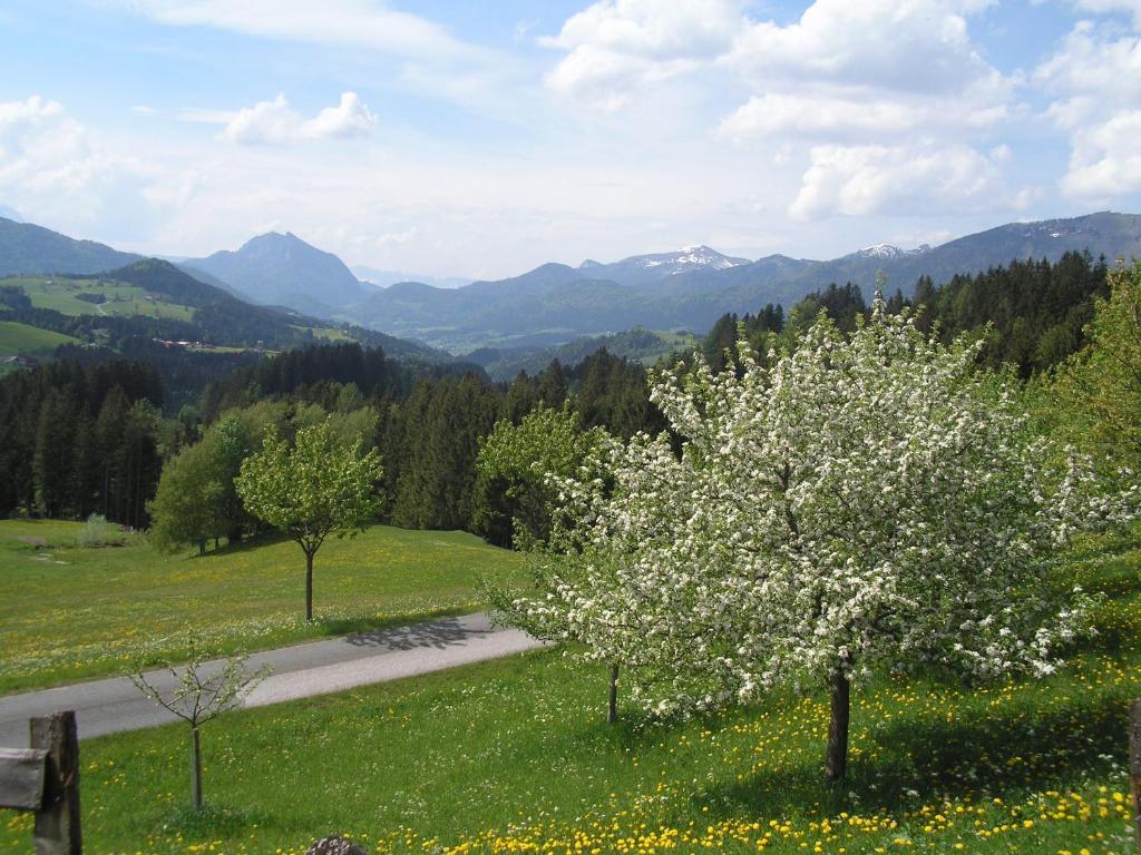 Haus Oberhaslach Apartment อับเทเนา ภายนอก รูปภาพ