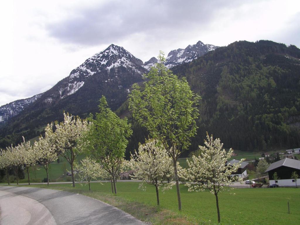 Haus Oberhaslach Apartment อับเทเนา ภายนอก รูปภาพ