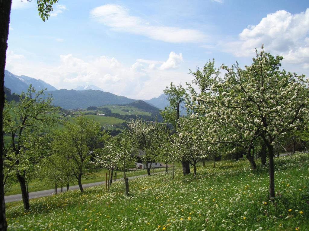 Haus Oberhaslach Apartment อับเทเนา ภายนอก รูปภาพ